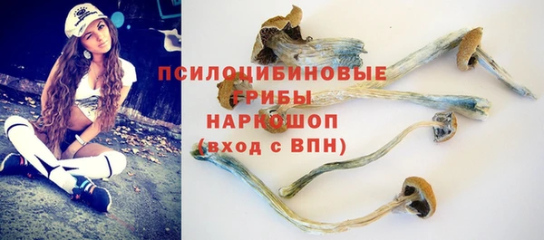прущий лед Абдулино