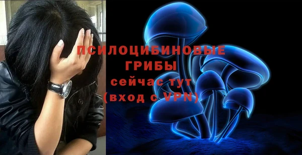 гидропоника Пролетарск