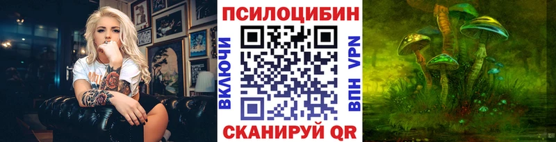 Галлюциногенные грибы мухоморы где купить Александровск